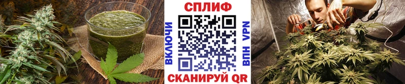 Cannafood конопля  как найти закладки  KRAKEN зеркало  Волгоград 