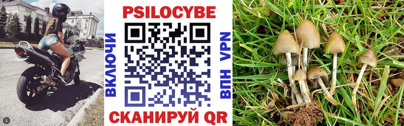Псилоцибиновые грибы прущие грибы  Волгоград 