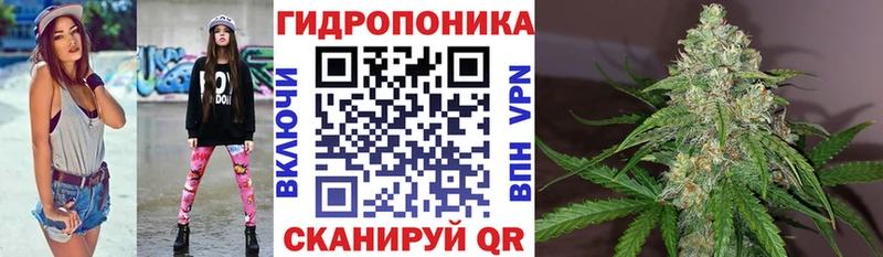 Бошки марихуана планчик  Волгоград 
